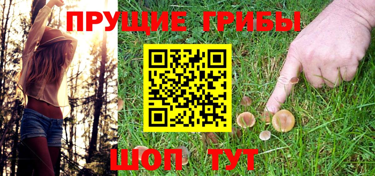 Галлюциногенные грибы Psilocybe  Вход с VPN  Миасс 